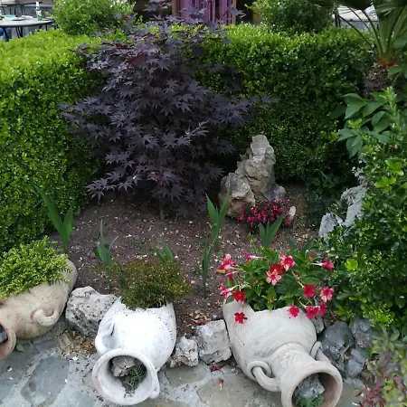 Happy Family * 维贾内洛