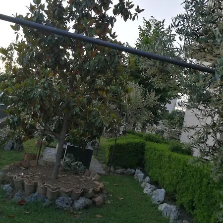 住宿加早餐酒店 Happy Family