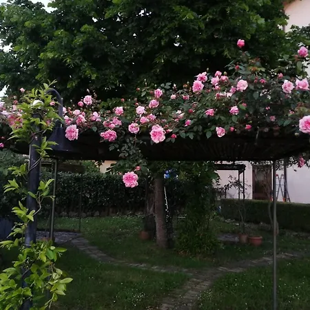 Happy Family Viggianello