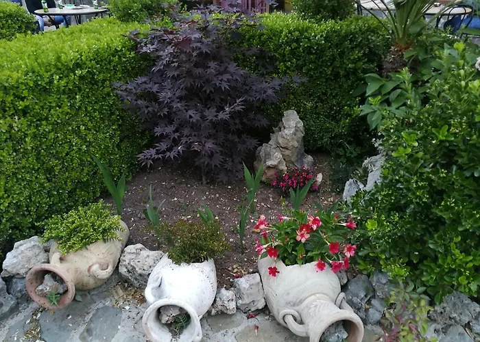 Happy Family * 维贾内洛