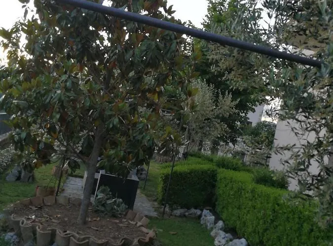 住宿加早餐酒店 Happy Family