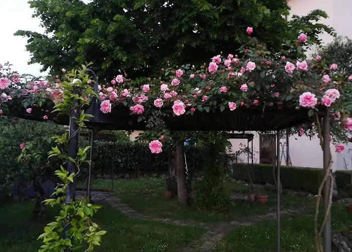 Happy Family 维贾内洛